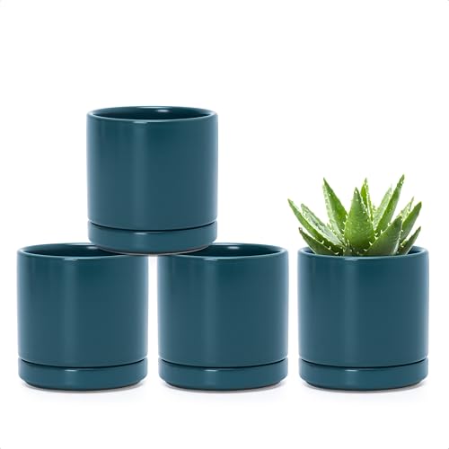 D'vine Dev Set of 4 Small Ceramic Plant Pots, 3.5 Inch Succulent Planter Pot for Plants with Drainage Hole and Saucer, Teal, 94-X-A-9 - color: Teal, size: 3.5 Inch
