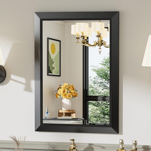 Briivue 20x28 Inch Black Bathroom Mirror for Wall, Thick Metal Framed Rectangle Mirrors for Over Sink, Bedroom, Living Room, Entryway, Anti-Rust, HD Tempered Glass - color: Black, size: 20"L x 28"W