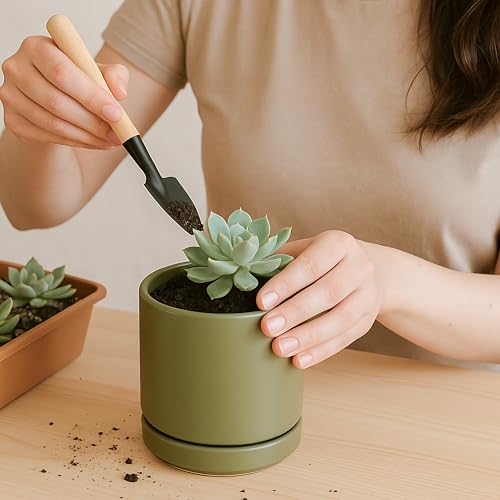 D'vine Dev Set of 4 Small Ceramic Plant Pots, 3.5 Inch Succulent Planter Pot for Plants with Drainage Hole and Saucer, Olive, 94-X-A-0 - color: Olive, size: 3.5 Inch