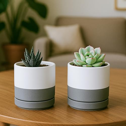 D'vine Dev Set of 4 Small Ceramic Plant Pots, 3.5 Inch Succulent Planter Pot for Plants with Drainage Hole and Saucer, White/Speckled Grey, 94-X-A-6 - color: White/Speckled Grey, size: 3.5 Inch