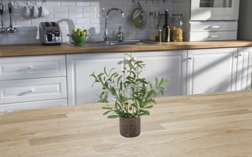 AlphaAcc 18 Inch Artificial Olive Branches Real Looking Potted Plant Fake Olive Tree with Lifelike Leaves and Fruits in Rustic Black Cement Planter Faux Greenery Plant for Indoor Outdoor Decor - color: Green Olive Plant 18" H