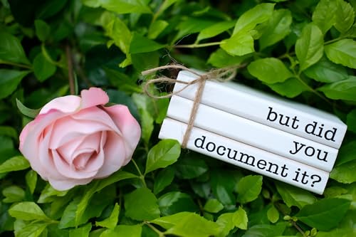 Funny Cute Office Desk Decor, Rustic Wooden Book Stack for Shelf Table Decoration - But Did You Document It Sign - color: But Did U