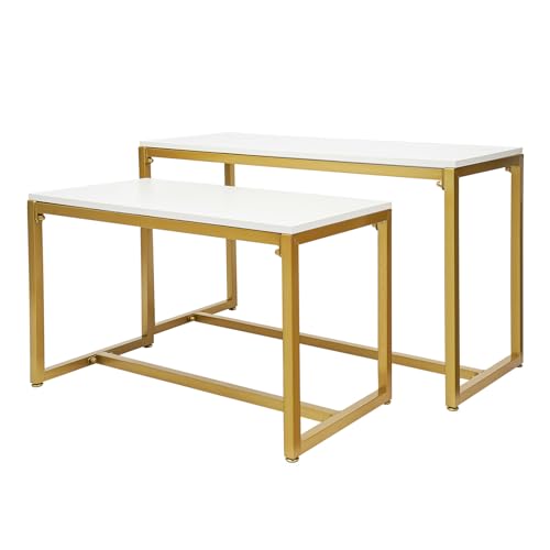 DYRABREST 2 Pieces Modern Nesting Table Metal Side Table End Table Retail Stores Display Stand Shoe Handbag Storage Display Riser Shelf for Home, Living Room, Commercial Decor