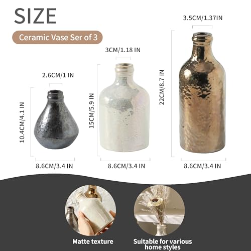 Ceramic Vase Set of 3 | Decorative Vases Home Decor | Flower Pampass Boho Modern Neutral Vase for Living Room, Table, Mantel, Entryway, Bookshelf, Kitchen, Bedroom, Bathroom - Multicolor - color: 009-multicolor Brown