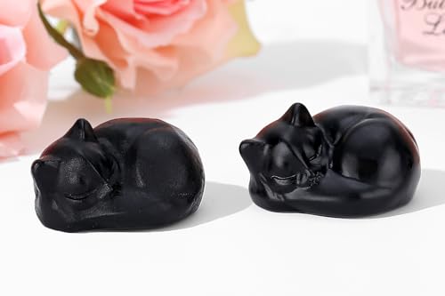 QINJIEJIE Black Obsidian Cat Crystals Decor Matt Sleeping Cat Statue Hand Carved Stone Figurine Decor Gifts Polished Cute Gemstones Office Room Home Desk Lucky Decoration for Women Men - color: H-black-matt Obsidian, size: 1.5 inches