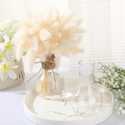 Bokon 12 Pcs Plastic Bud Vases in Bulk for Table Centerpieces, 4.7in Hyacinth Avocado Growing Bud Vase Bulk, Small Flower Bulb Plant Containers for Wedding Room Table Decorations (Mini Bulb Style) - style: Mini Bulb Style