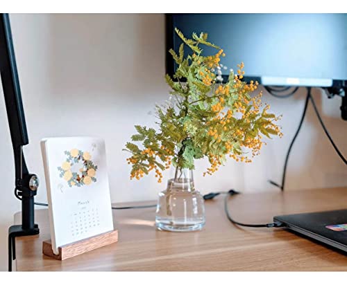Holmegaard Flora Vase Medium Neck, Clear, 4.7" H x 3.3" D, Designed by Less Limits v/Louise Campbell, Gift Box Included - color: Transparent, size: 9x9x13.2