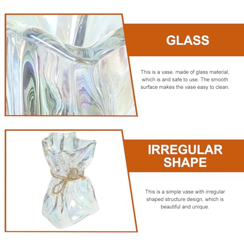 Veemoon Abstract Irregular Glass Vase Decorative Floral Vase for Home Decor Modern Art Flower Plant Display for Living Room Office Table