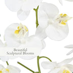 CG Hunter Faux White Orchid Plant, Premium Artificial Indoor Flower Display Stands 23”, Beautiful Sculptural Blooms That Lasts Forever, White Planter Pot Included - size: 23" White 4-Stem Orchid