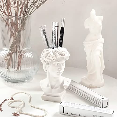 David Statue Vase - 6 Inch Greek Bust Head Aesthetic Planter White Home Decor Roman Style Resin Succulent Flower Planter Pot Sculpture Brushes Holder Makeup Pen Holder