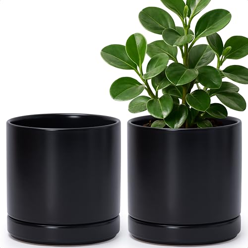 D'vine Dev Set of 2 Plants Pots, 6.5 Inch Ceramic Planter Pot for Plants with Drainage Hole and Saucer, Black, 94-V-C-2 - color: Black, size: 6 Inch