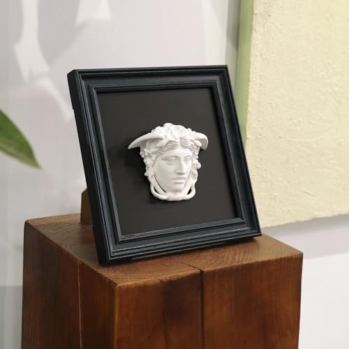 FOLKOR LIFE Medusa Wall Sculpture, 3D Medusa Relief Black and White Wall Art, Classical Greek Goddess Wall Hanging Sculpture for Living Room, Bedroom, Gothic or Modern Home Decor - color: Head of Medusa