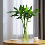 CYS EXCEL Cylinder Clear Glass Vase (H:20" D:6") | Multiple Size Choices Glass Flower Vase Centerpieces | Hurricane Floating Candle Holder Vase - size: H-20" D-6"
