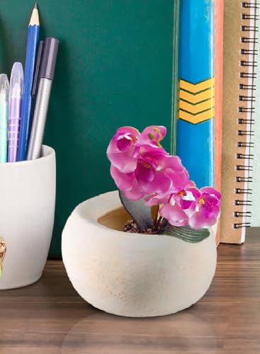 Serene Spaces Living Sienna Ivory Cement Bowl, Decorative Planter, 6" Diameter x 3.5" Tall - size: Pack 1