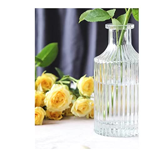 Set of 3 Mini Clear Glass Vase,Small Flower Bud Vase Hydroponics Planter Decorative for Flower,Table,Party,Home,Centerpieces(Clear 3) - color: Clear 3