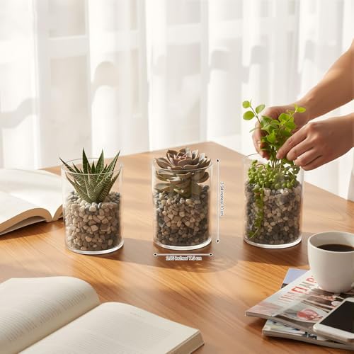 meekoo 3 Pcs Flower Acrylic Vase Cylinders Round Decorative 3 x 4 in Vase Break Resistant Acrylic Flower Cylinder for Centerpiece Home Wedding Decor(Clear, Classic) - color: Classic, size: 3 x 4 in