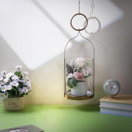 6" Wide Handmade Sturdy Glass Cylinder Jar with Metal Stand in Antique Brass, Display Glass Container for Candles and Plants, Hurricane Lantern, Candle Holder, Industrial, Farmhouse, Outdoor - size: 6"x15"