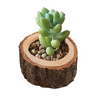 12pcs Wooden Tealight Candle Holder Wood Votive Tealight Holder Tealights Candlestick Pillar Candle Stands for Dining Table Wedding Party(Color:Wood)