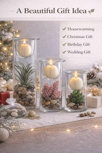 KMwares Glass Cylinder Candle Holders Set of 3 with Artificial Succulent and Decorative Stones, Hurricane Candle Holder Centerpiece for Table, Wedding, Bathroom and Home Decor (Candles Not Included)