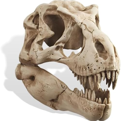 T-Rex Skull Wall Decor, Dinosaur Head Fossil Replica Wall Art, Realistic 3D Dinosaur Skull Wall Mount Sculpture for Living Room Bedroom Kids Room Home Bar Halloween Decor