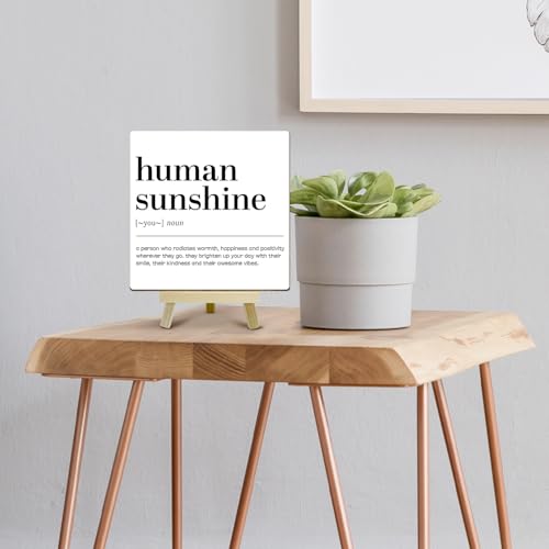 Home Office Decor, Human Sunshine Definition Desk Decor, Employee Appreciation Gifts, Admin Professionals Day Gifts, Teacher Mentor Gifts (MP09), Wood - color: MP09
