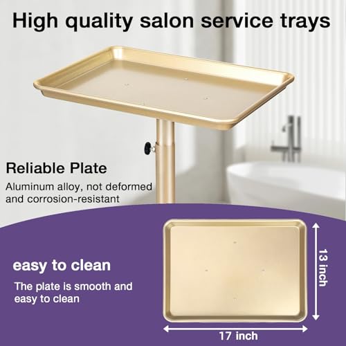 Salon Tray, Champagne Gold Salon Rolling Tray with Adjustable Height, Hair Stylist Tray, Suitable for Tattoo Tray and Dental Tray - color: Champagne Gold