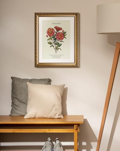 HUARCEY Vintage Camellia Floral Framed Canvas Wall Art 13x16, Embossed Gold Frame Classic Botanical Flower Illustration Print, Elegant Traditional Living Room Bedroom Home Decor - color: Camellia, size: 16"L x 13"W