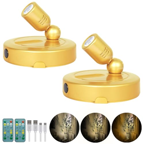 HAMVIDNE Rechargeable Indoor Spotlight, 3 Lighting Modes Battery Operated Spotlights with Remote, Picture Lights for Wall, Plant Tree Spotlight with Timer, Up Lights for Art Display Artwork-Gold - color: Rechargeable-Gold