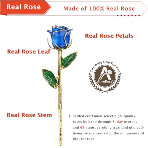 AliveRose Dipped 24k Gold Rose, 24K Gold Rose Made from Real Rose - Unique Design 24K Dipped Rose for Anniversary Valentines Mothers Day Birthday Gifts (Blue Original Rose with Crystal Vase) - color: 2. Blue Original Rose With Crystal Vase
