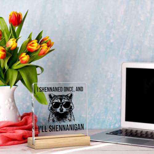 Raccoon Funny Office Decor Funny Desk Decor Sarcastic Gifts Coworker Gifts Acrylic Humor Gift for Women Men Boss Coworker Home Office Decorations - color: I Shennaned Once，And I'll Shennanigan