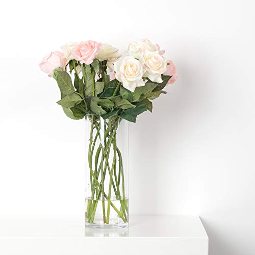 WGV Cylinder Vase, Diameter 5", Height 10", Clear Glass Floral Planter Container, Floating Candle Holder for Wedding Party Event Home Office Decor, 1 Piece - size: 5"x10"H CL
