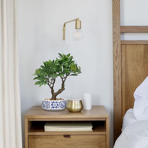 Artificial Bonsai Tree, Small Bay Laurel Bonsais Tree 13" Indoor Bonsai Trees Fake Potted Plant Decorative Fake Desk Plant Decor with Blue & White Ceramic Pot for Home Office Living Room Table Shelf - style: Modern