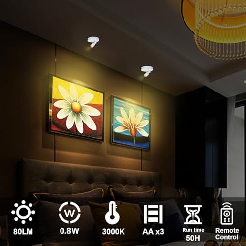 HAMVIDNE Indoor LED Spotlight, Battery Operated Spotlights with Remote, Picture Lights for Wall, Plant Tree Up Light with Timer, Accent Lights for Art Display Dartboard Painting Artwork Frames-Silver - color: Silver
