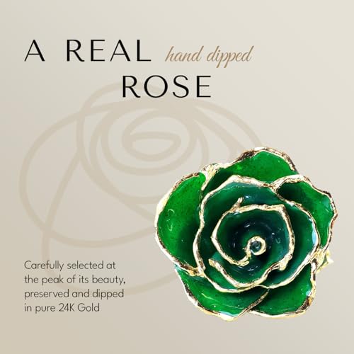 Forever Rose Hand-Dipped in 24K Gold, Emerald-Inspired May Birthstone with Sparkles, Real Rose in Luxury Gold Gift Box & Clear Glass Bud Vase – Perfect Ready to Gift for May Birthday or Any Occasion - color: May Emerald