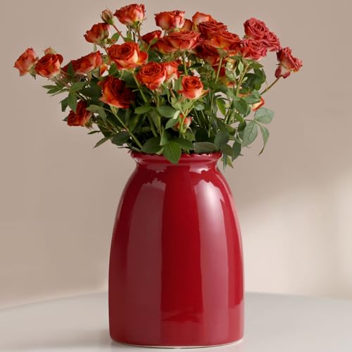 hjn Red Flower Vase- Ceramic Vase for Decor, White vase for Flowers, Modern Vases for Living Room/Home Decor Accents/Entryway/Mantel/Bookshel-Red - color: Red-8.5inch