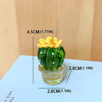 4PCS Handmade Mini Resin Cactus Cute Miniature Cacti Figurines Home Office Desk Tabletop Simulation Plants Decorations Car Interior Dashboard Ornaments