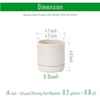 D'vine Dev Set of 2 Plants Pots, 4.7 Inch Ceramic Planter Pot for Plants with Drainage Hole and Saucer, Oatmeal, 94-V-B-8 - color: Oatmeal, size: 4.7 Inch