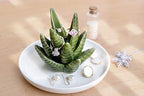 PUDDING CABIN Aloe Ring Holder,Cactus Ring Dish,Jewelry Holder Trinket Tray for Rings Earrings Necklace Organizer,Bridesmaid Christmas Birthday Gift for Women Girls - style: Aloe