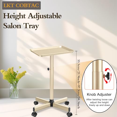 Salon Tray Hairdresser Tray on Wheels Hair Tray for Hair Stylist Gold - color: M-champagne Gold