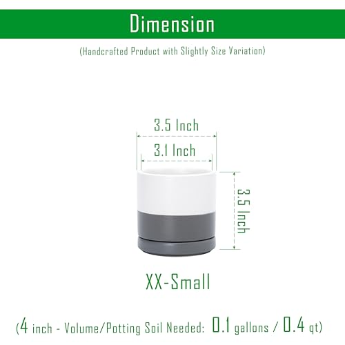 D'vine Dev Set of 4 Small Ceramic Plant Pots, 3.5 Inch Succulent Planter Pot for Plants with Drainage Hole and Saucer, White/Speckled Grey, 94-X-A-6 - color: White/Speckled Grey, size: 3.5 Inch