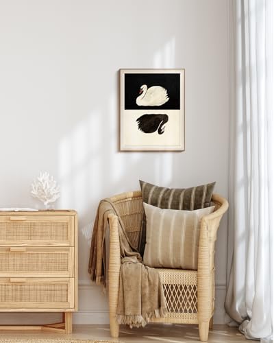VIYYIEA Framed Wall Art for Living Room, Swan Canvas Prints, Vintage Home Decor, Animals Painting Picture, Bathroom Wall Decor Gifts for Friends or Family - 20L x 16W - color: Animals-【Black and White】, size: 20"L x 16"W