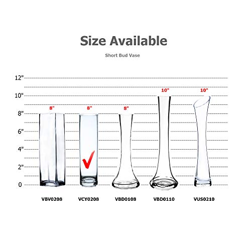 WGV Cylinder Bud Vase, Width 2", Height 8", Clear Skinny Narrow Standard Hurricane Floral Container Centerpiece for Wedding Party Event Home Office Decor, 1 Piece - size: 2"x8"H Cylinder