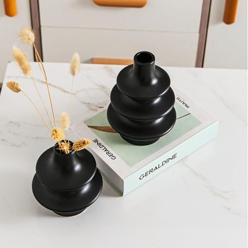 Modern Ceramic Vase Set, Small Matte Black Vases for Home Decor, Minimalist Vase for Entryway, Living Room Decoration, Table Centerpieces - color: 5 Matte Black Vase