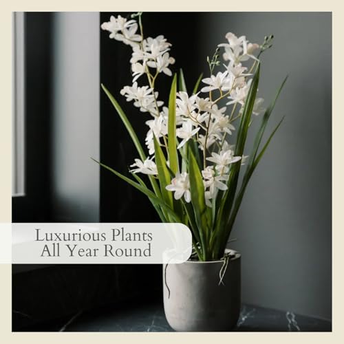CG Hunter Faux Vanda Orchid Plant, Premium Artificial Indoor Flower Display Stands 22.5”, Beautiful Sculptural Blooms that Lasts Forever, White Planter Pot Included - size: 22.5" Vanda Orchid