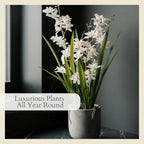 CG Hunter Faux Vanda Orchid Plant, Premium Artificial Indoor Flower Display Stands 22.5”, Beautiful Sculptural Blooms that Lasts Forever, White Planter Pot Included - size: 22.5" Vanda Orchid