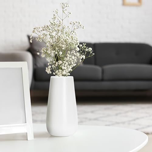 D'vine Dev 8 Inch White Elegant Oval Ceramic Vase for Flowers, Home Décor Vase with Design Box, VS-LD-A-4 - color: White, size: 8 Inch