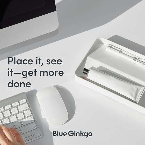 BLUE GINKGO Desk Tray – Korean-Made Organizer for Notes, Pens, Pencils, and Accessories (Double-sided, White) - color: WHITE, size: TRAY