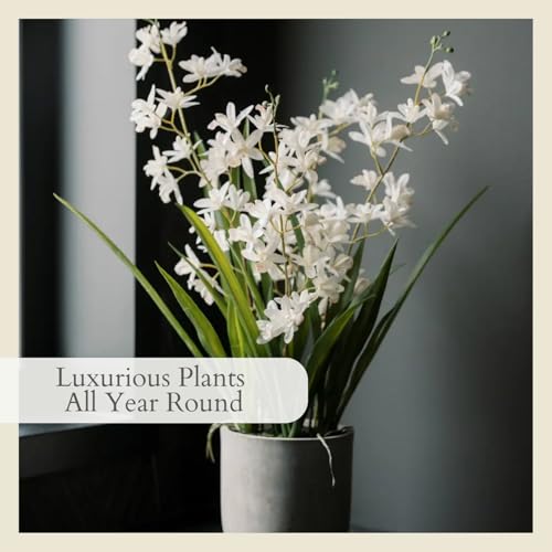 CG Hunter Faux Vanda Orchid Plant, Premium Artificial Indoor Flower Display Stands 26”, Beautiful Sculptural Blooms that Lasts Forever, White Planter Pot Included - size: 26" Vanda Orchid