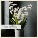 CG Hunter Faux Vanda Orchid Plant, Premium Artificial Indoor Flower Display Stands 26”, Beautiful Sculptural Blooms that Lasts Forever, White Planter Pot Included - size: 26" Vanda Orchid