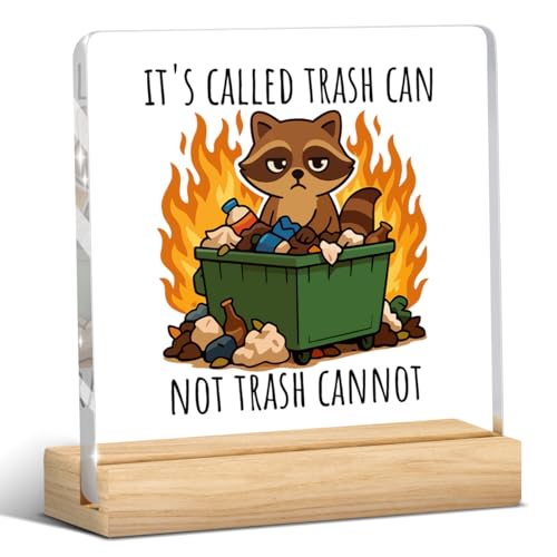 Dumpster Fire Desk Accessories Funny Office Decor Funny Office Gifts Motivational Desk Decor Acrylic Raccoon Humor Gifts for Women Men Friend Coworker - color: It's Called Trash Can Not Trash Cannot